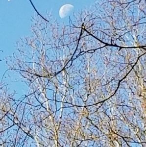 Meet your Posher, Gary